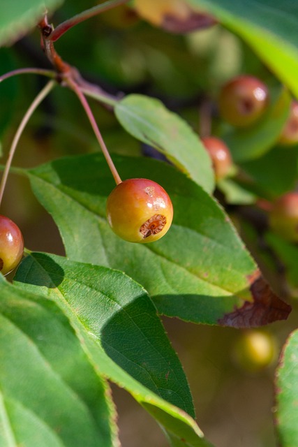成功充分发 成功充分发