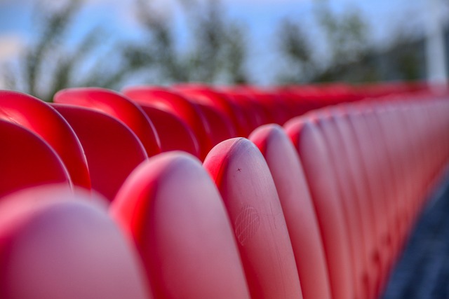 的新视角 的新视角