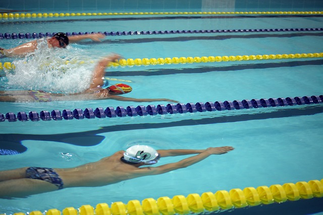 无数篮球迷 无数篮球迷