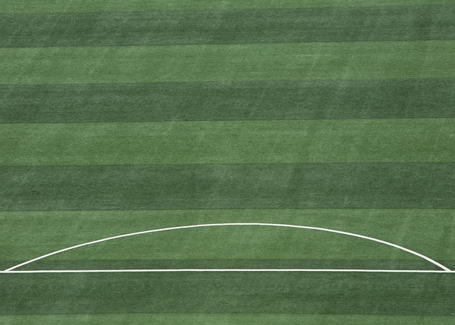 他用精准的 他用精准的