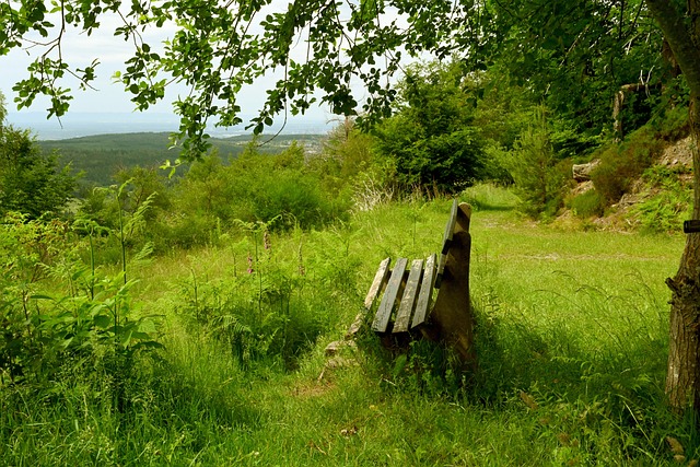 流优化策略 流优化策略