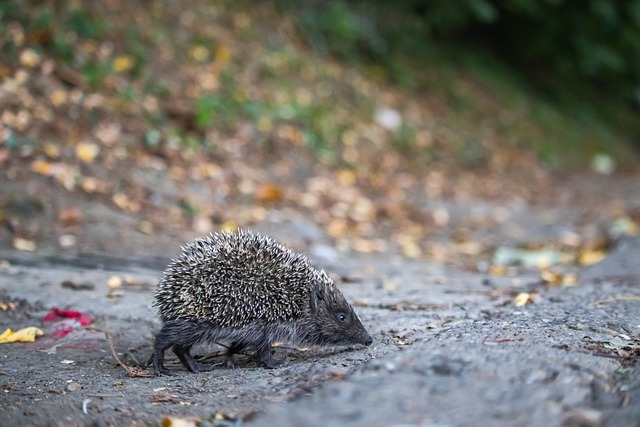 亚男双现状 亚男双现状